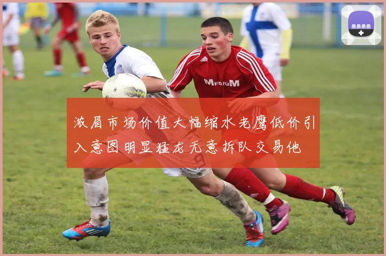 浓眉市场价值大幅缩水老鹰低价引入意图明显猛龙无意拆队交易他