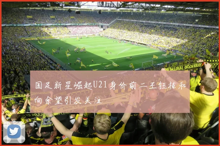 国足新星崛起U21身价前二王钰栋和向余望引发关注